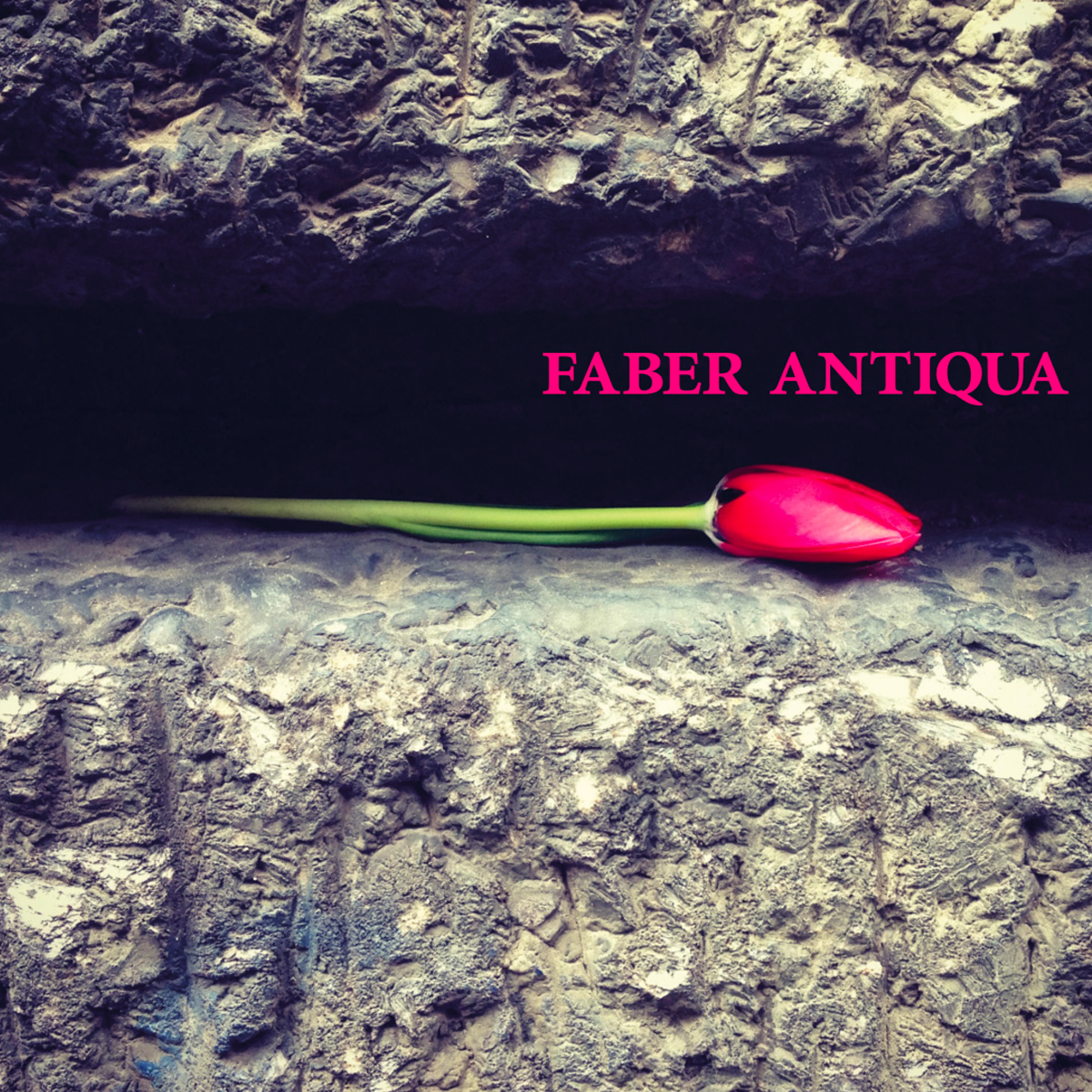 Discografia - Faber Antiqua